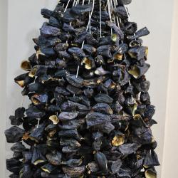 Dolmalık Patlıcan Kurusu