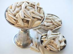 Ayçiçek Çekirdeği XL